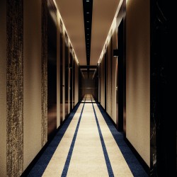 Ritz-Carlton thumbnail 2