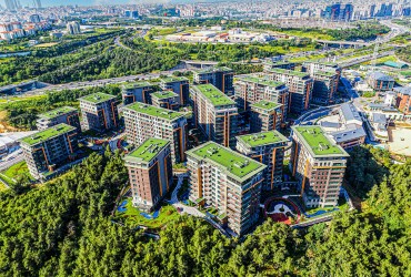 Vadi Istanbul